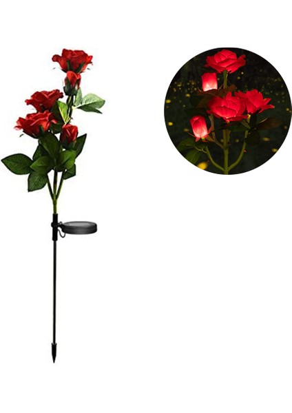 Lx-Solar 5 Başlıklı Gül Lamba-Kırmızı (Yurt Dışından)