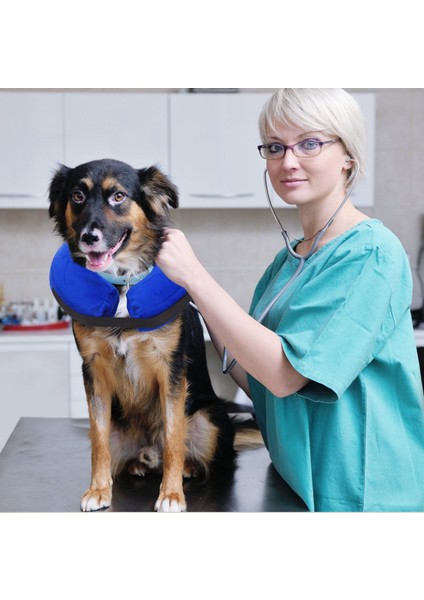 Pet Şişme Yaka Mavi Velcro Xl (Yurt Dışından) indirimleri