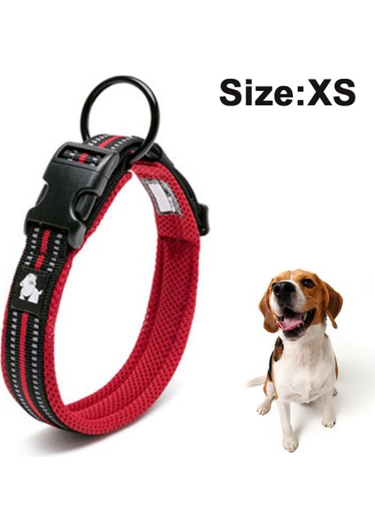 Pet Naylon Boğulma Önleyici Tasma-Big Red Xs (Yurt Dışından)