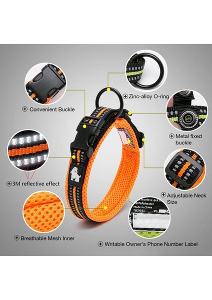 Pet Naylon Boğulma Önleyici Tasma-Big Red Xs (Yurt Dışından)