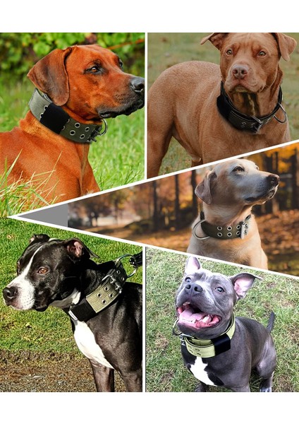 Beş Vitesli Ayarlanabilir Taktik Köpek Tasması - Siyah (Toka Stili) Xl (Yurt Dışından)