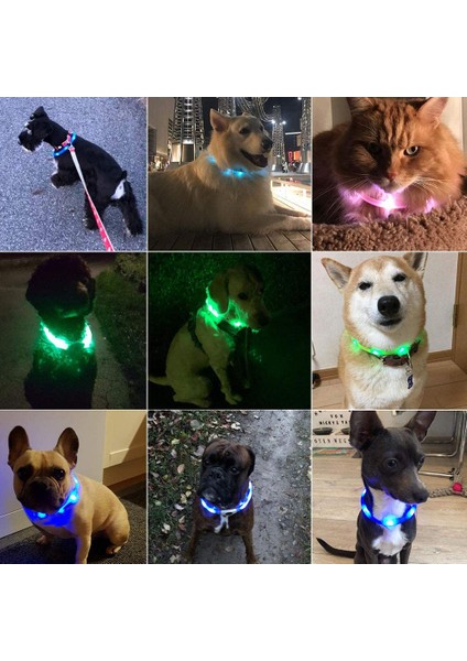 Lx-Led Işık Yayan Evcil Hayvan Tasması-Yeşil 50CM (Yurt Dışından) fiyatları