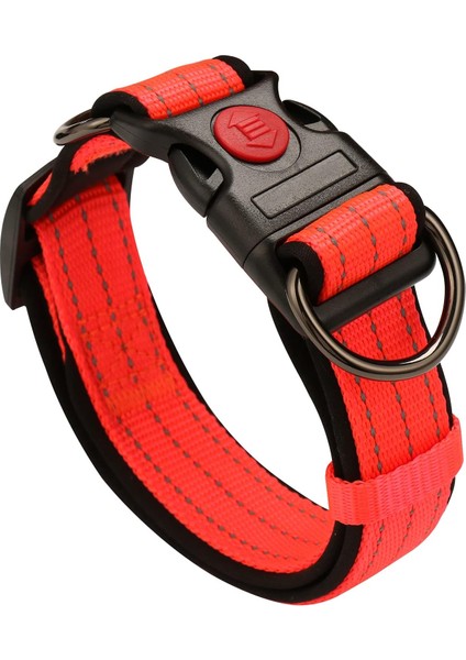 Köpek Tasması Turuncu L (30CM-50CM) (Yurt Dışından)