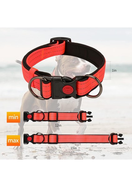 Köpek Tasması Turuncu L (30CM-50CM) (Yurt Dışından) fiyatları