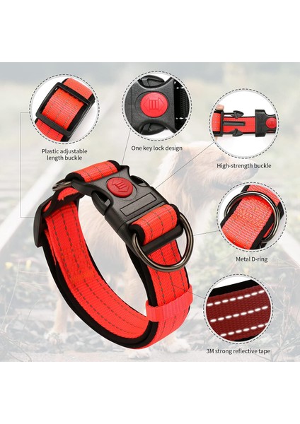 Köpek Tasması Turuncu L (30CM-50CM) (Yurt Dışından) modelleri