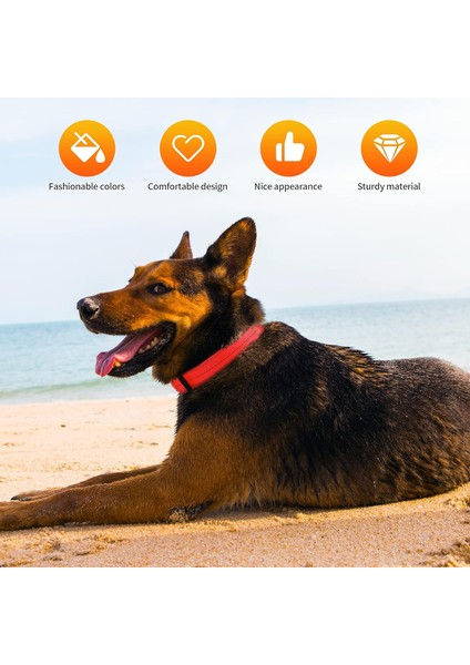 Köpek Tasması Turuncu L (30CM-50CM) (Yurt Dışından) fırsatları