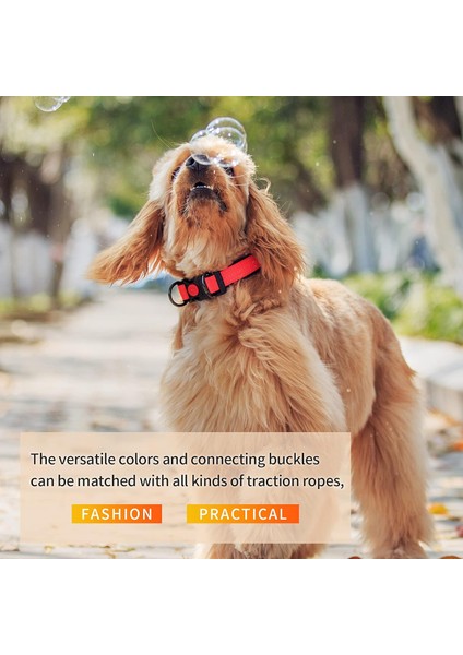 Köpek Tasması Turuncu L (30CM-50CM) (Yurt Dışından) indirimleri