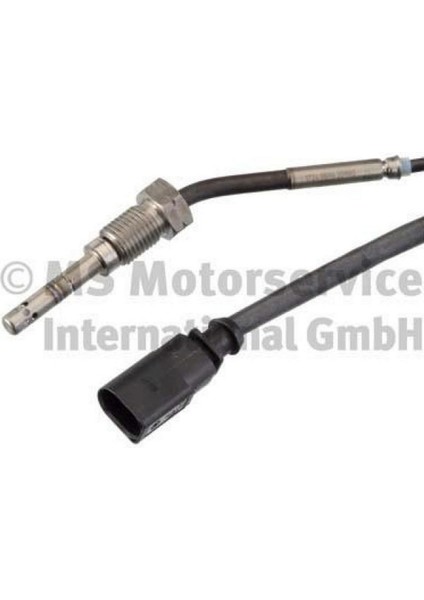 Exhaust Gas Temperature Sensor Volkswagen 42058