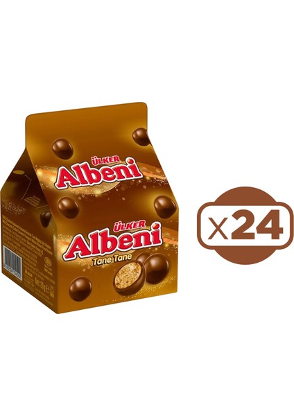 Albeni Tane Tane 29 gr x 24 Adet