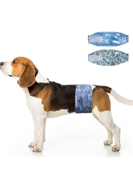 Dono Erkek Köpek Tek Kullanımlık Çocuk Bezi/çocuk Bezi, 48 Tablet, Süper Emici, Sızdırmaz Uydurma, Uyarıcı Idrara Çıkma, Inkontinans, M Kodu (Yurt Dışından)