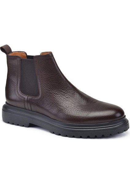 Kahverengi Chelsea Bot