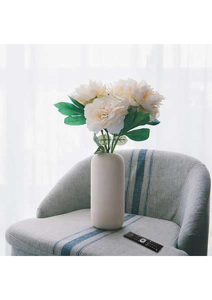 TP7187R Akıllı Tv Için Uzaktan Kumanda Yedek Uzaktan Kumanda TP7187R Siyah (Yurt Dışından) modelleri