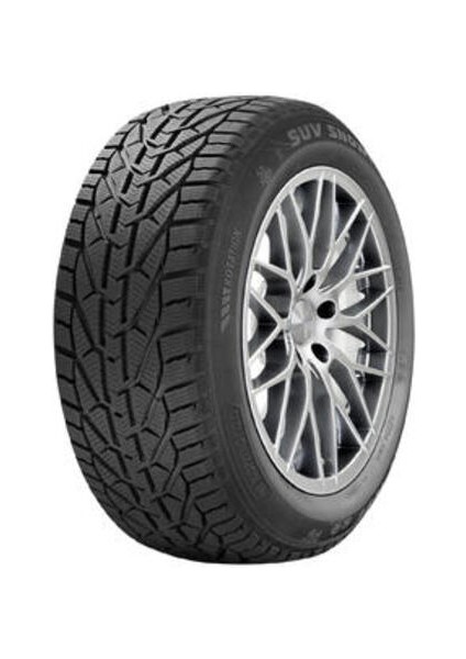 245/45 R18 100V Xl Snow Oto Kış Lastiği (Üretim Yılı: 2023)