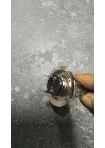 Ampul Unıversal [h7] fiyatları