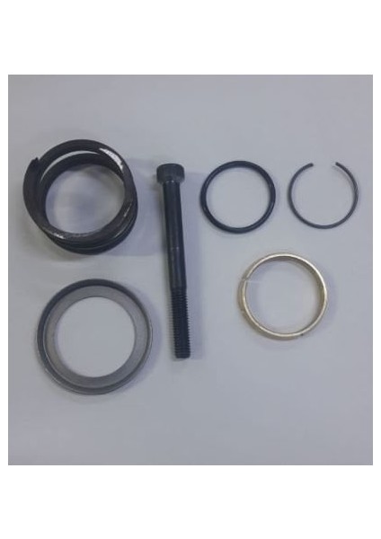 Aks Mıl Frezesı Yay ve Konık Sarı Halka Setı Vw T5 T6 2.5tdı 04 [0A5409379]