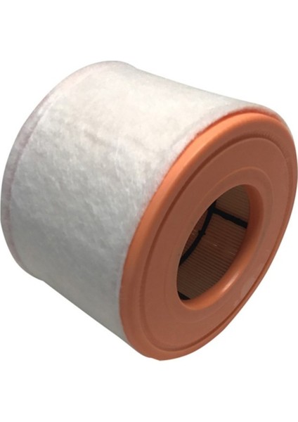 A6 Hava Fıltresı 11- [bsg] [4G0133843H]