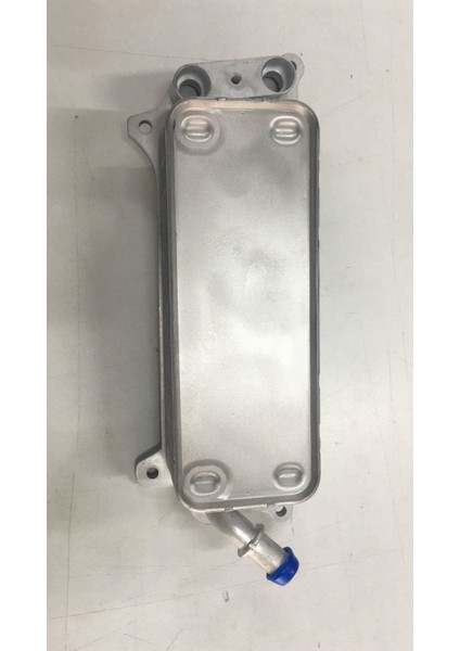 Yag Sogutucusu Audı A6 A7 C7 11 [4G0317021AF]