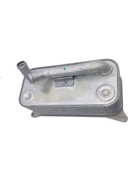 Yag Sogutucusu Tek Audı A8 S8 5.2 Bxa [07L117021F]