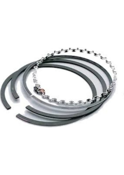 Lt Pıston+Segman 96-06 [federal] [062107065A]