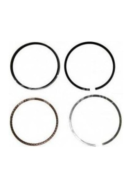 Golf Passat A4 Segman 04-11 [federal] [03G198151A]