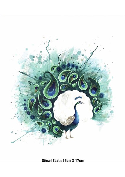Sulu Boya Tavus Kuşu Ütü ile Yapışan Tekstil Dtf Baskı