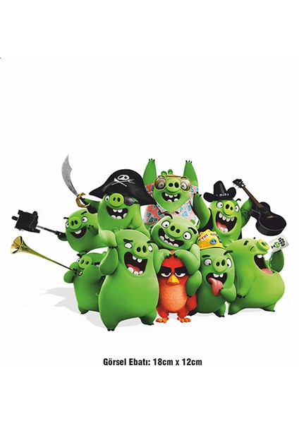 Angry Birds Yeşil Domuzlar Ütü ile Yapışan Tekstil Dtf Baskı