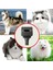Dyson V15 V11V10 V8 V7 Elektrikli Süpürge Köpek Kedi Pet Saç Fırçası Bakım Aleti Esnek Uzatma Hortumu Yedek Parçalar (Yurt Dışından) 5