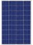 PTECH 100W POLİKRİSTAL GÜNEŞ PANELİ 1