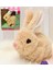 Yürüyen, Sesli Hareketli Sevimli Peluş Bunny Tavşan - Sweet Bunny 5