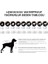 Ghost Polarlı Köpek Yağmurluğu Beden 1 2