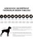 Cosmo Plus Kapüşonlu Köpek Yağmurluğu Beden 2 2