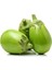 Apple Green Patlıcan Tohumu (15 Tohum) 1
