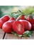 Italian Red Pear Domates Tohumu(15 Tohum) 1