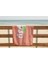 Çocuk Plaj & Banyo Havlusu DS39 2