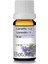Lavanta Yağı 10 ml 1