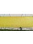 30 CM X 100 M Yapışkan Sarı Rulo Tuzak 2