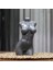 Beton Woman Torso Heykel - Biblo 1