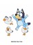 Bluey Martılar Ütü ile Yapışan Tekstil Dtf Baskı 1