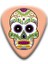Desen 3 Tarzı 0,71 mm Bas Gitar Kafatası Desen Gitar Seçtikleri Selüloit Plectrum Enstrüman Aksesuarları Ukulele Aracı Parçaları (Yurt Dışından) 1
