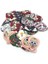 Desen 3 Tarzı 0,71 mm Bas Gitar Kafatası Desen Gitar Seçtikleri Selüloit Plectrum Enstrüman Aksesuarları Ukulele Aracı Parçaları (Yurt Dışından) 4