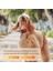 Köpek Tasması Turuncu L (30CM-50CM) (Yurt Dışından) 5
