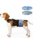 Dono Erkek Köpek Tek Kullanımlık Çocuk Bezi/çocuk Bezi, 48 Tablet, Süper Emici, Sızdırmaz Uydurma, Uyarıcı Idrara Çıkma, Inkontinans, M Kodu (Yurt Dışından) 1