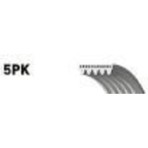 Gates 5PK1236SF V Kayısı Kanallı Pk I10 I20 1.2 Elastık Uyumlu
