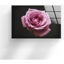 Myphotostation Pembe Gül Temperli Cam Duvar Tablosu