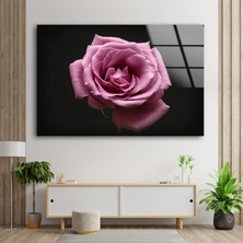 Myphotostation Pembe Gül Temperli Cam Duvar Tablosu