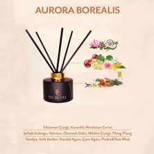 Feu du Ciel Signature Aurora Borealis Pudra Amber Oda Kokusu 150 ml