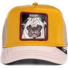 Goorin Bros  Nap Life ( Pug Köpek Figürlü ) Şapka 101-0404