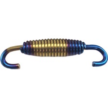 Zwinz Motosiklet Egzoz Borusu Yay Aksesuarı 304 58MM Mavi Aureate (Yurt Dışından)