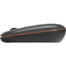 Everest SMW-444 USB Gümüş Bluetooth ve 2.4ghz Optik Wireless Mouse