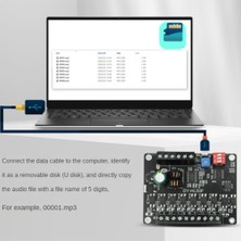 Internet 24V Yüksek Güçlü Ses Yayını Istemi Modülü Yüksek ve Düşük Seviye Tetikleyici 1'den 1mp3'e Çok Fonksiyonlu Oynatma Modülü, B (Yurt Dışından)